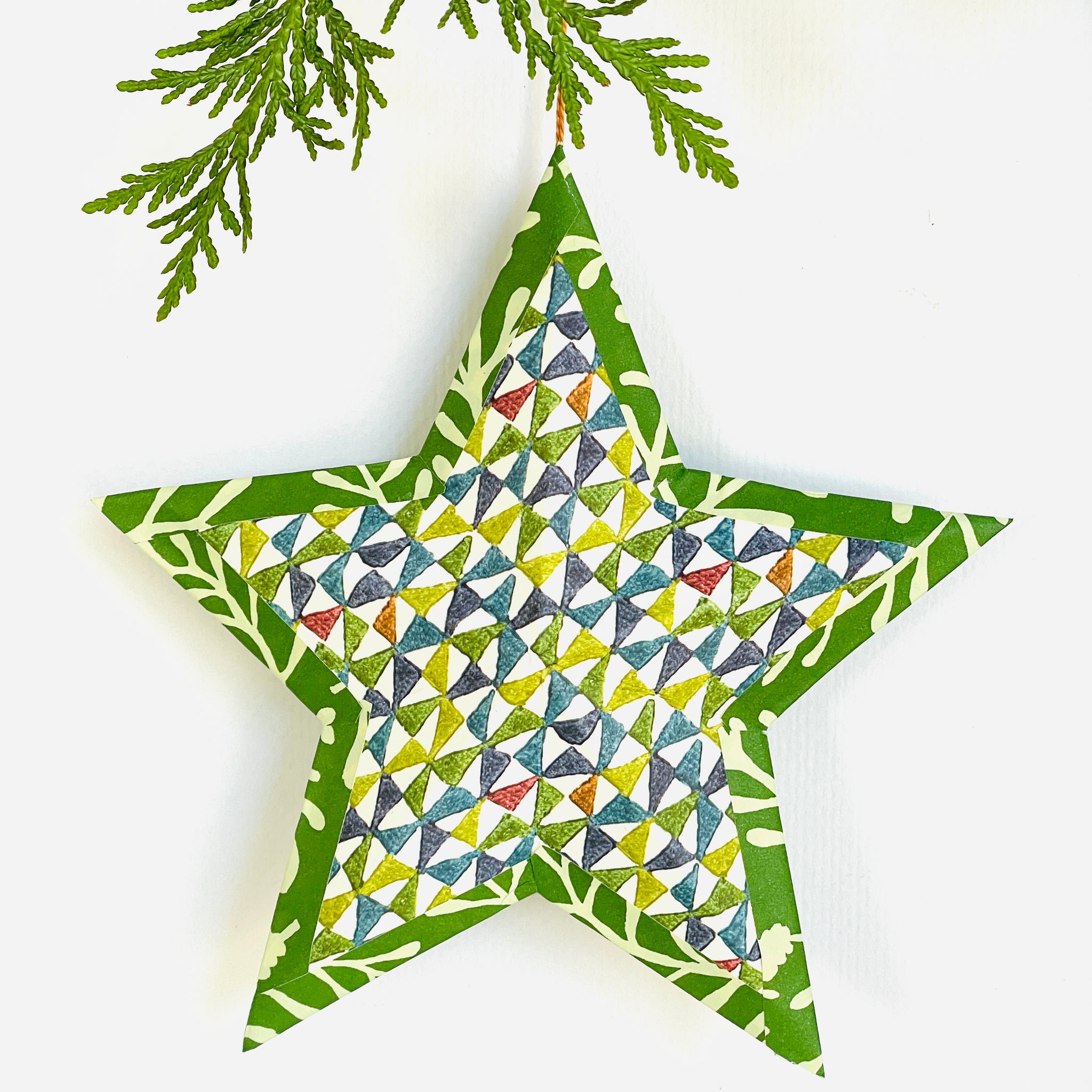 Hanging star in multi geometric/bright green vine